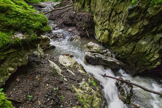 Free Nature Water photo and picture