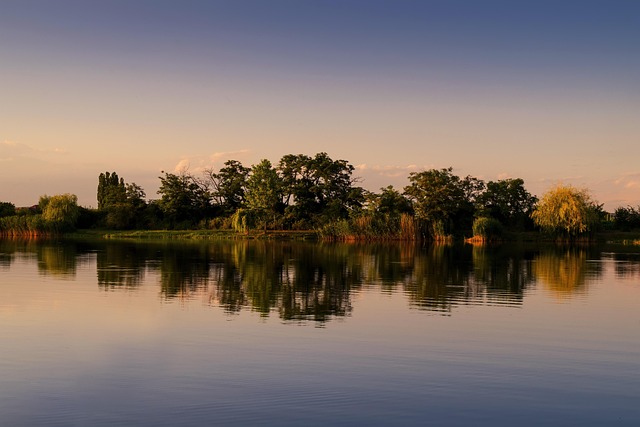 Free Early Evening Water photo and picture