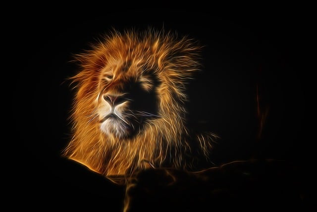Free lion mane zoo illustration