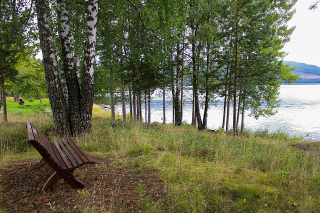 Free Bench Lake photo and picture