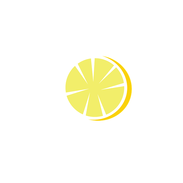 Free Slice Slice Of Lemon illustration and picture