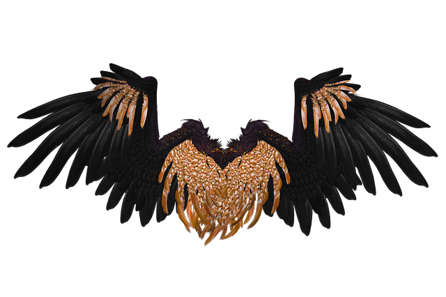 Free wing angel flying illustration