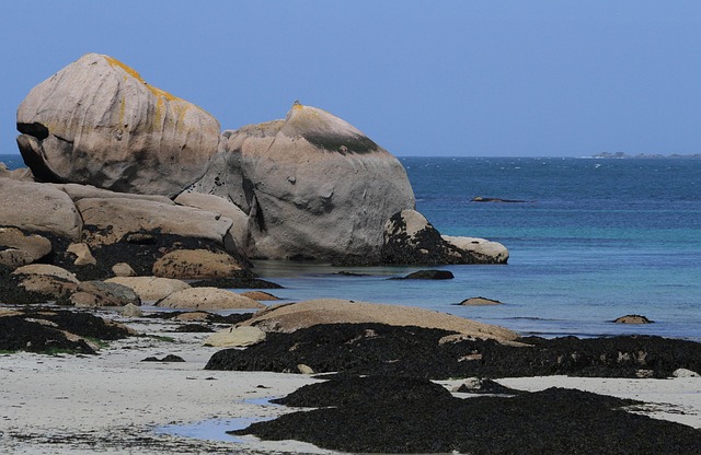 Rock Beach Seaside - Free photo on Pixabay