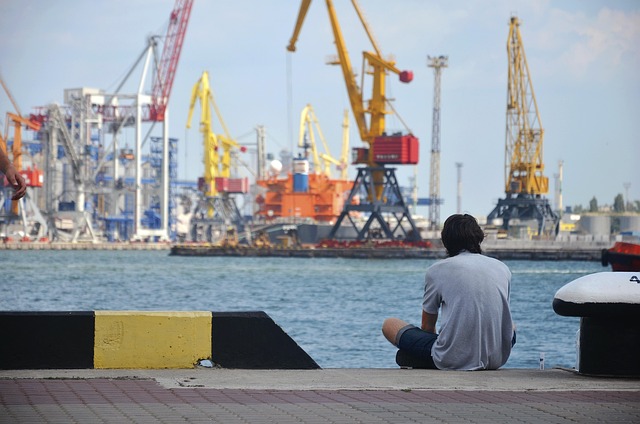 Free Sadness Sea photo and picture