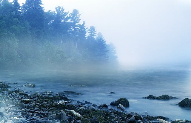 Free mist misty fog illustration