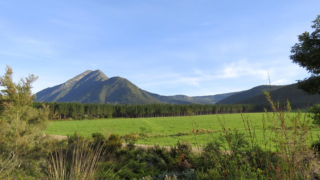 Free Western Cape Tsitsikamma photo and picture
