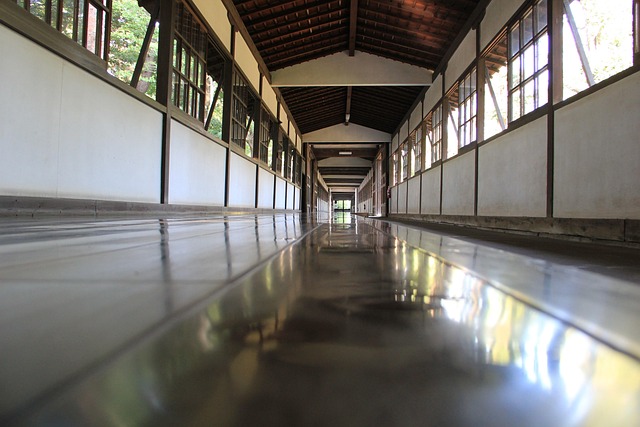 Free Floor Reflection photo and picture