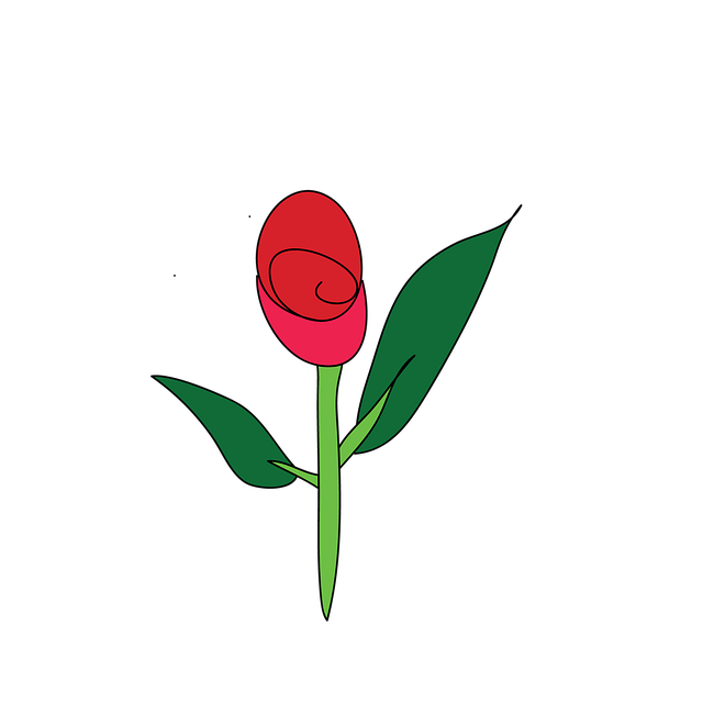 Free Rose Flower illustration and picture
