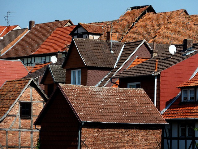 Free Bad Sooden-Allendorf Roofs photo and picture