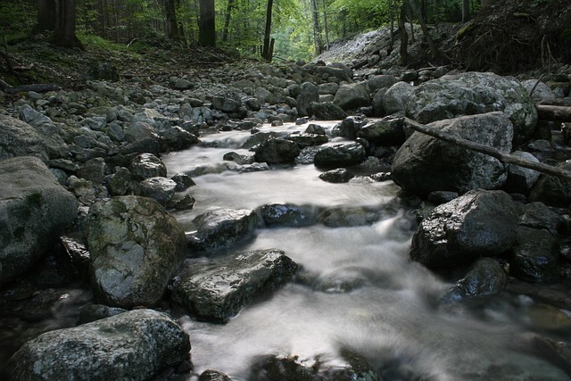 Stream Nature. Examples Stream Nature Bach - Free photo on Pixabay