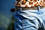 clothing, belts, pants