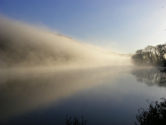 Free Fog Landscape photo and picture