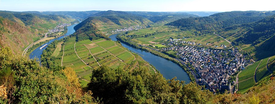Mosel, Quietont, Mosel Loop, Vinmarker