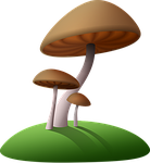 mushrooms, island, cartoon