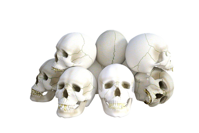 Free skulls horror halloween illustration