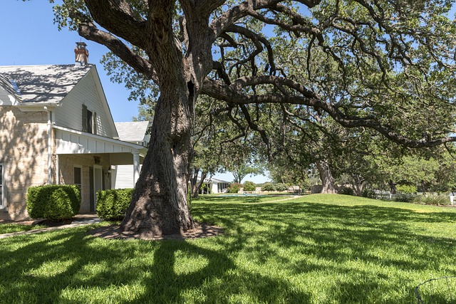 Free House Villa photo and picture