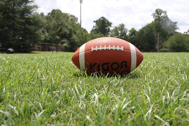 Free American Football Football photo and picture