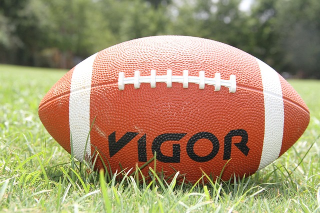 Free American Football Football photo and picture