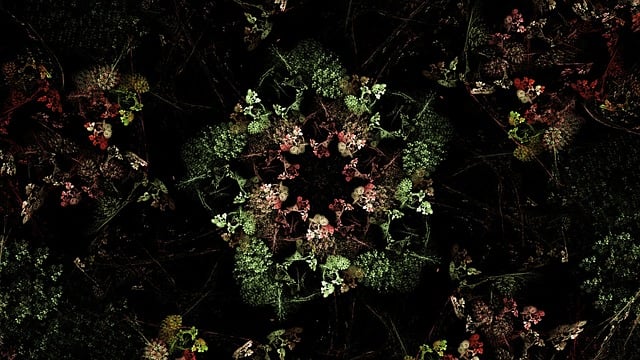 Free fractal fractal art digital art illustration