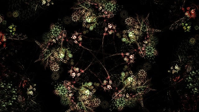 Free fractal fractal art digital art illustration