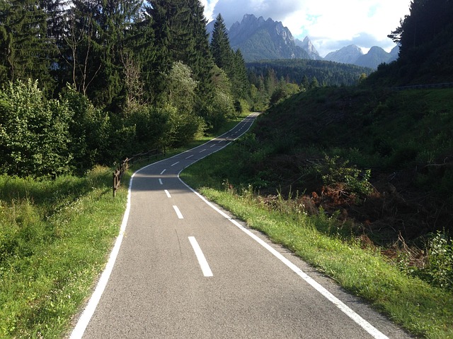 Fahrradweg, Wald, Berge, Natur
