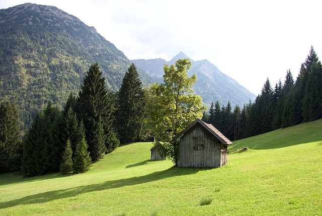 Free Alm Hut photo and picture
