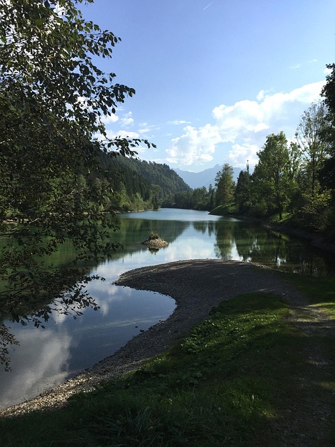 Free Auwaldsee Fishing photo and picture