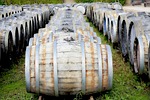 cave, wine, barrels