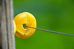 insulator, fixing, pasture fence