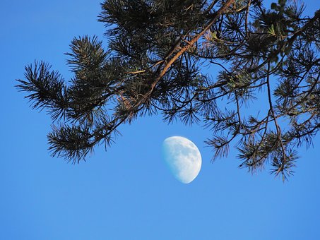 Free Nature Moon photo and picture