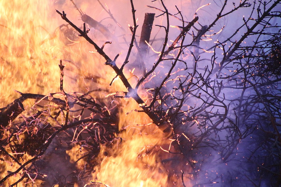 La mitad de Estados Unidos se enfrenta a un verano infernal apocalíptico. Está seco. Hace calor. Y se acercan los incendios.