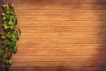 wood, ivy, green