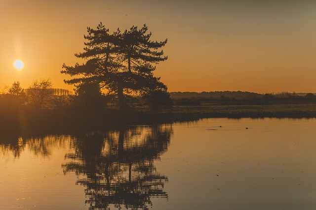 Free Sunset Nature photo and picture