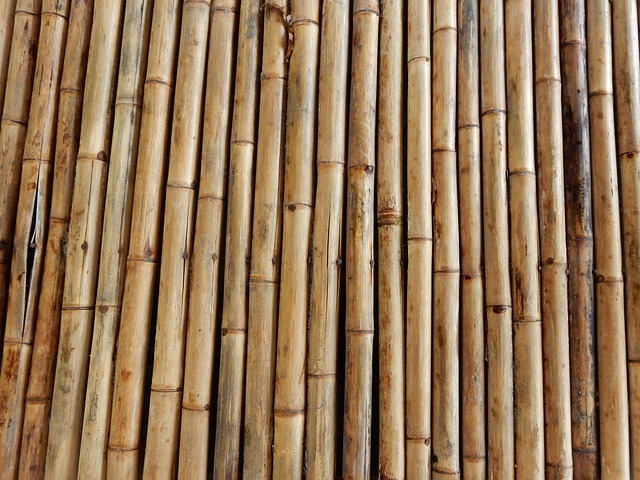 Free Bamboo Structure photo and picture