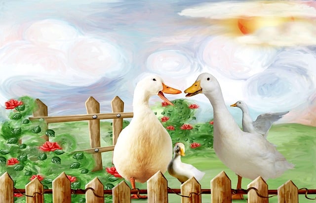 Free chattered duck goose illustration