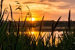 sunrise, hope, morning