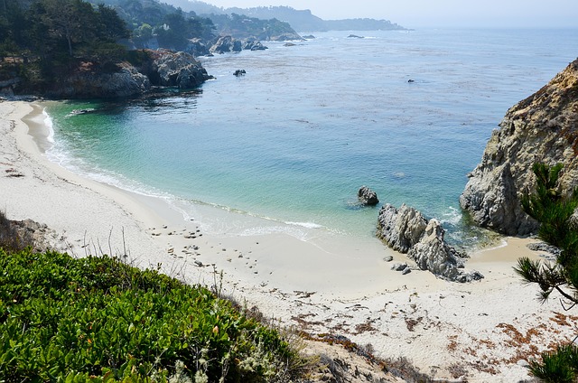 Free Point Lobos Usa photo and picture