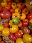 tomato, vegetable, fresh