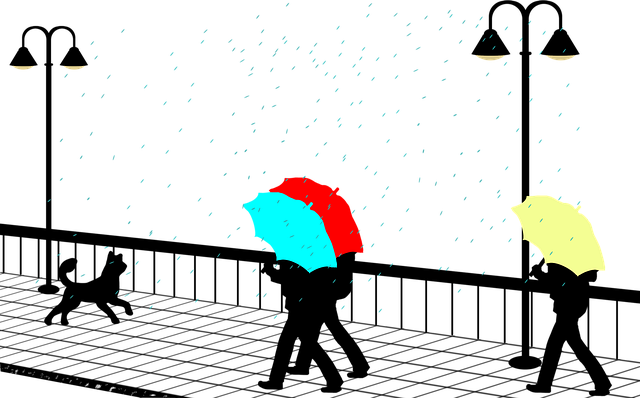 Free rain umbrella drawing vector
