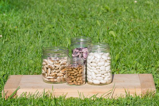 Free Color Bean photo and picture