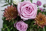 rose, strauss, flowers