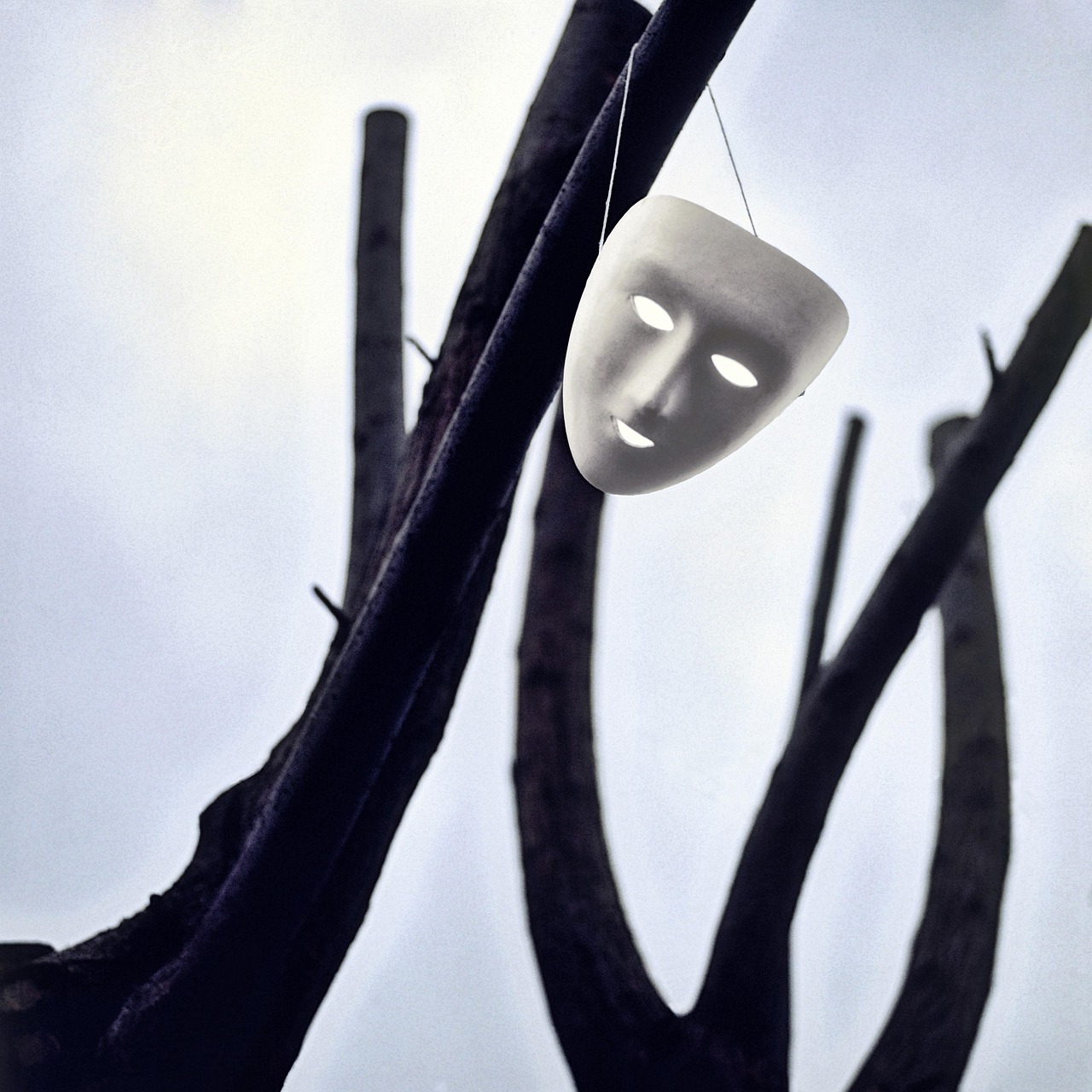 Mask - free online jigsaw puzzle photo