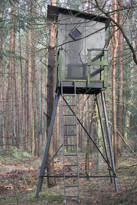 狩猟小屋 Veluwe Pixabayの無料写真
