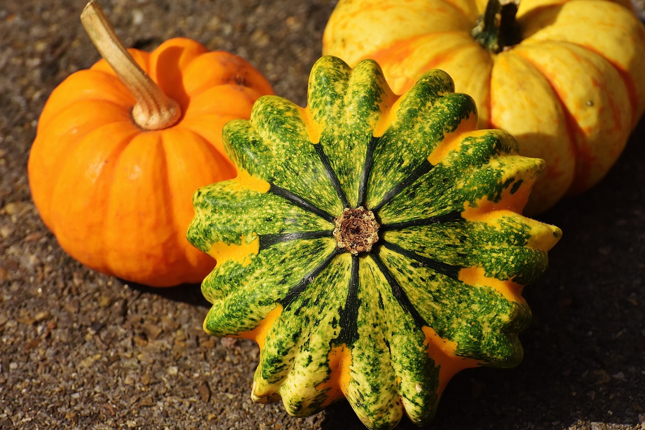 Pumpkins - free online jigsaw puzzle photo