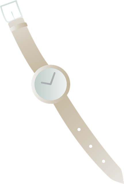 Free wrist watch ladies watch time vector