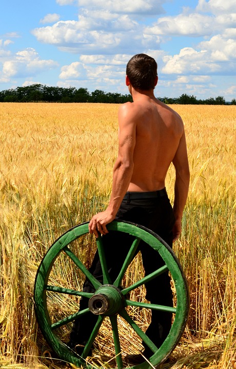 Peasantman Young Man Peasant Cart Wheat - Free photo on Pixabay - Pixabay