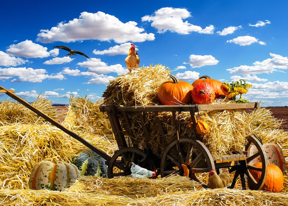 What To Wear On Thanksgiving: 40 Best Thanksgiving Outfit Ideas For The...