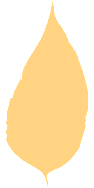 Free leaf autumn leaf dry leaf vector