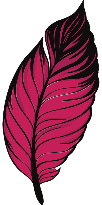 Pen Feathers Bird Free Vector Graphic On Pixabay