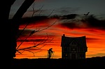 the witch, witch's house, halloween